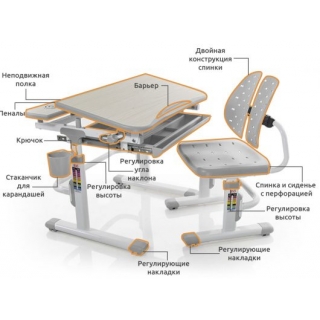 Комплект мебели (столик + стульчик) Mealux EVO-05 G столешница цвета клен / пластик серый (одна коробка)